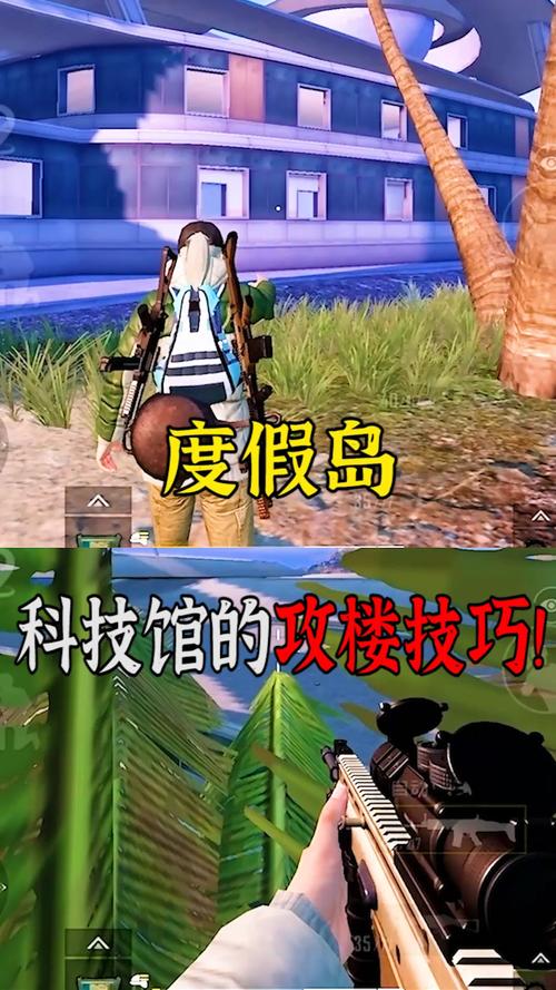 和平精英辅助【飞鸟】